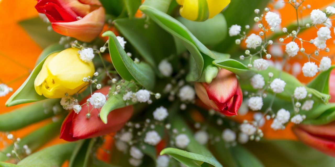 Muttertagsgeschenk für die Partnerin – Was schenkt man Mama zum Ehrentag?