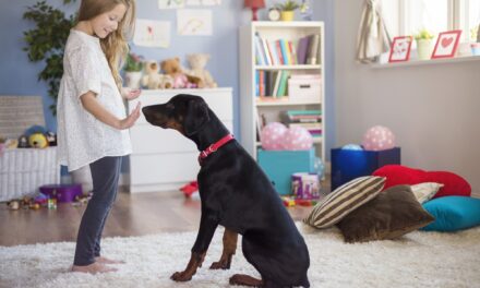 Kinder und Haustiere: Wie Tiere die Empathie von Kindern fördern