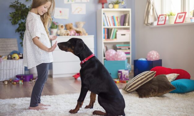 Von der Abhängigkeit zur Selbstständigkeit: Wie Eltern ihre Kinder unterstützen können