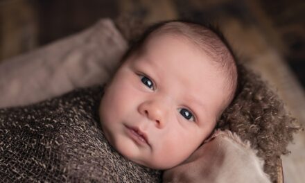 Beikost ohne Brei: Warum Baby-led Weaning die bessere Wahl ist