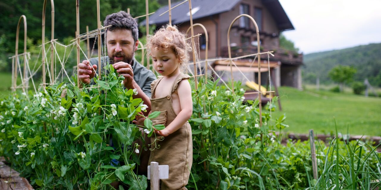 Nachhaltigkeit für die ganze Familie: 5 Strategien für ein umweltbewusstes Leben