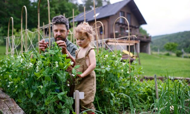 Nachhaltigkeit für die ganze Familie: 5 Strategien für ein umweltbewusstes Leben