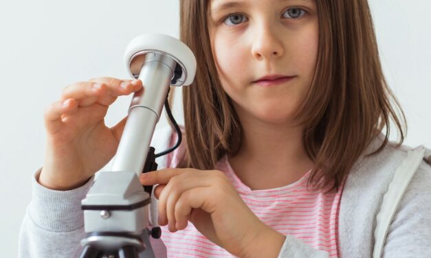 Projektbasiertes Lernen: So fördern Sie die aktive Teilnahme Ihrer Kinder