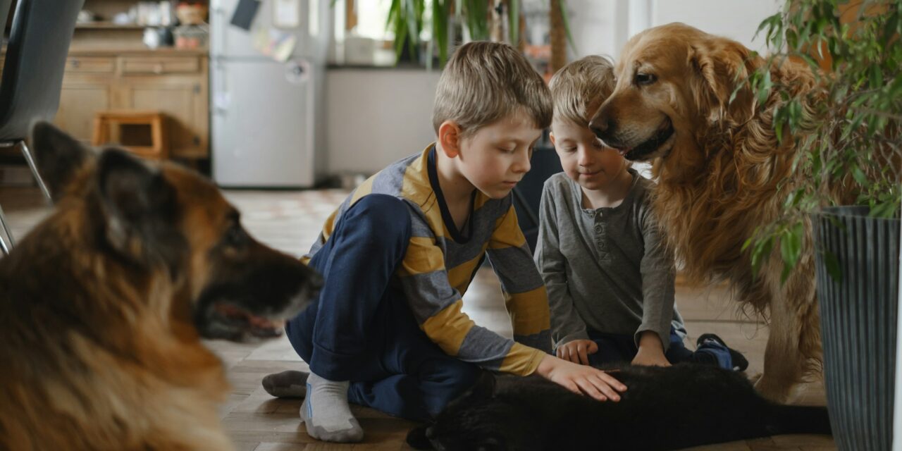 Haustiere als Lehrer: Wie Kinder von ihren pelzigen Freunden lernen können