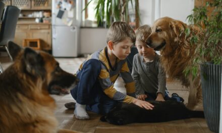 Haustiere als Lehrer: Wie Kinder von ihren pelzigen Freunden lernen können