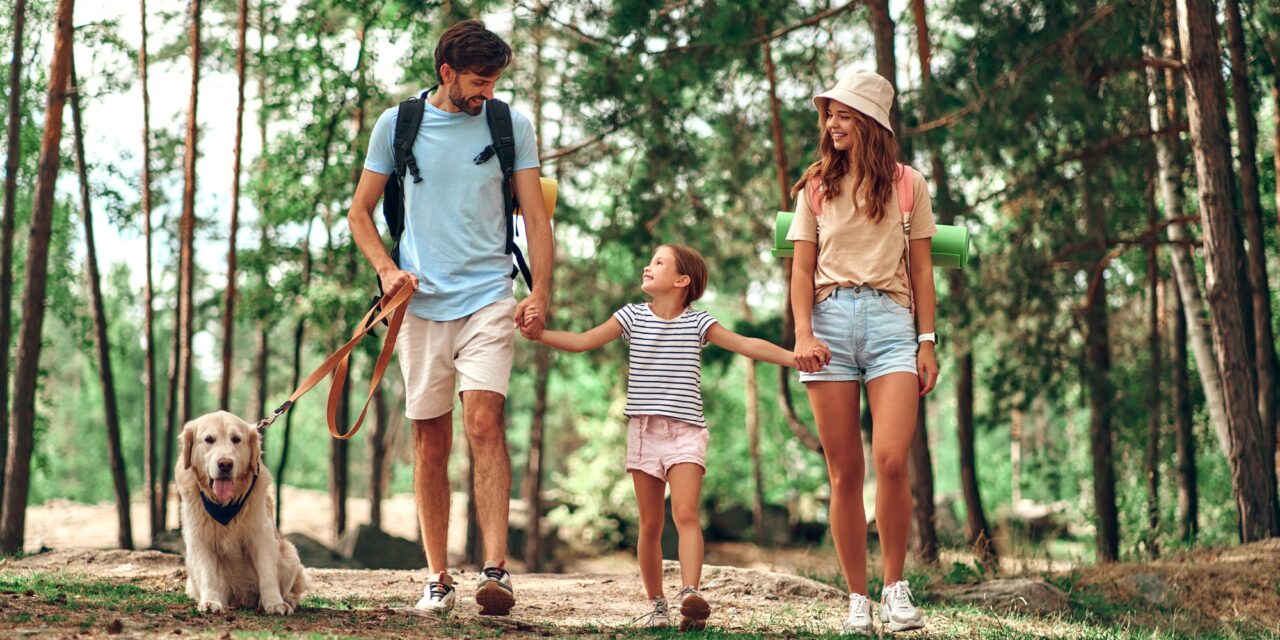 Erlebnisreiche Tage mit der Familie: Tipps für die perfekte Planung