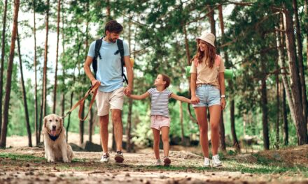 Erlebnisreiche Tage mit der Familie: Tipps für die perfekte Planung