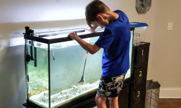 Eigenverantwortung statt Helikopter-Eltern: Kinder zu selbstständigen Menschen erziehen