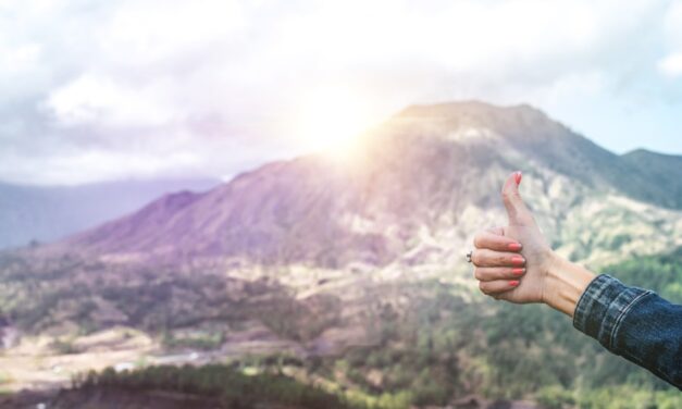 Positiv verstärken statt bestrafen: Warum Belohnungssysteme besser funktionieren