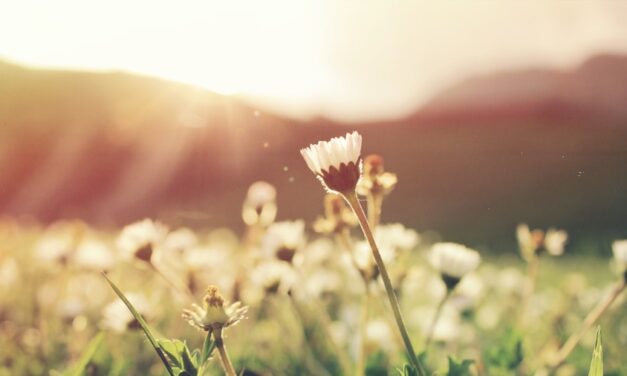 Frühlingslieder für Kinder: So bringen Sie Ihre Kleinen in Frühlingsstimmung