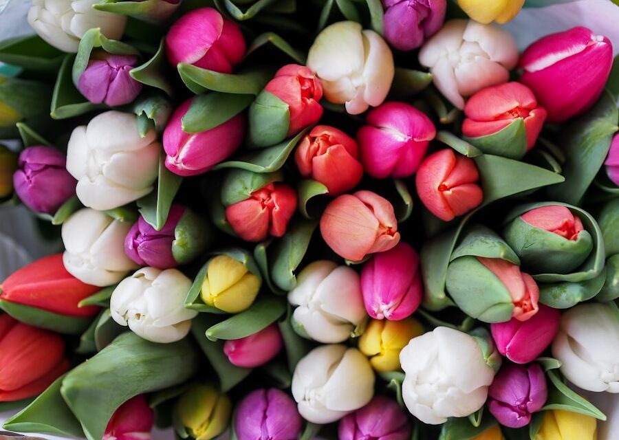 Kreativität im Frühling: Malen mit Kindern