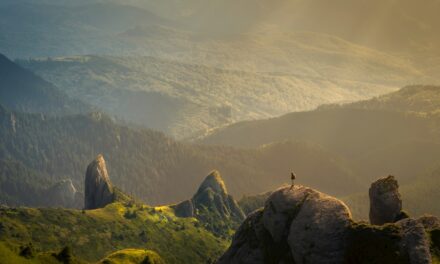 Natur hautnah erleben: Die schönsten Beobachtungen im Frühling