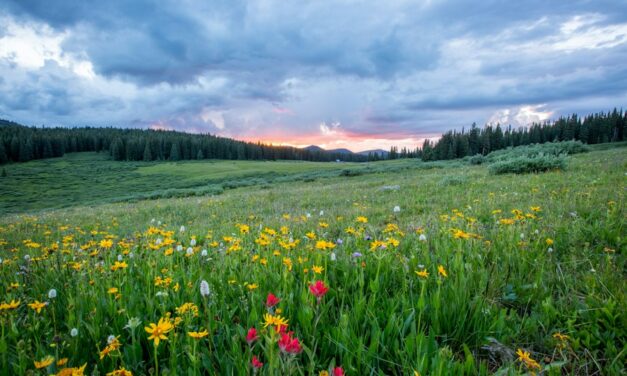 Gemeinsam lachen und spielen: Das Frühlingsfest im Kindergarten