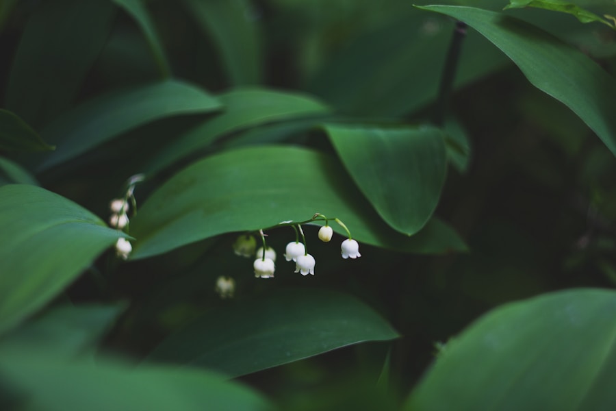 Kleine Dichter im Frühling: Gedichte über die Natur für den Kindergarten