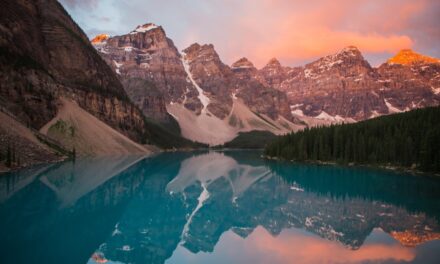 Elternschaft neu definiert: Wie Selbstreflexion zu einer besseren Erziehung führt