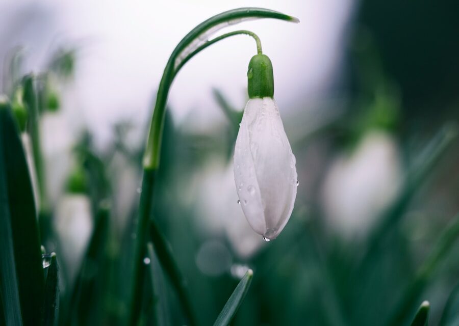 Regen, Regen, geh nicht fort: Kreative Frühlingsaktivitäten für drinnen