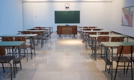 Sicherheit im Netz: Wie Grundschulkinder lernen, verantwortungsvoll mit Medien umzugehen