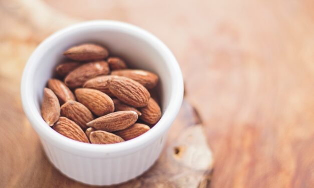 Frühlingshafte Picknick-Ideen: Genießen Sie die Natur mit leckerem Essen
