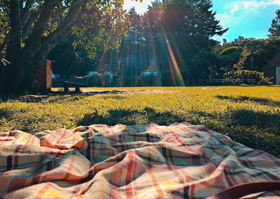 Familienfreizeit planen leicht gemacht: Ideen für jeden Geschmack