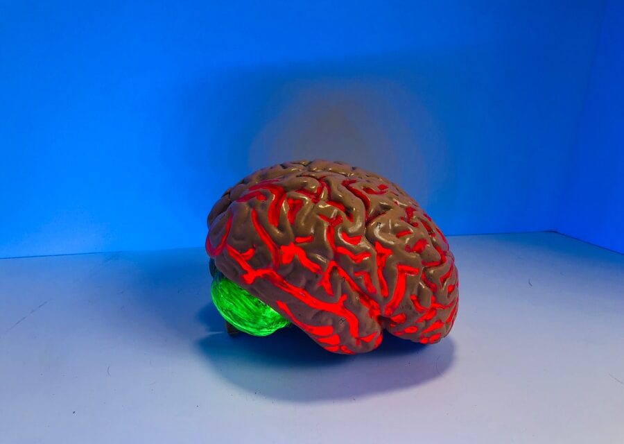 Kreativität und Fantasie: Wie sie die kognitive Entwicklung beeinflussen