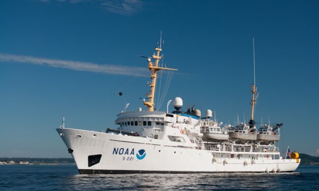 Spielerisch lernen: Die Bedeutung von sinnvoller Freizeitgestaltung für die Entwicklung von Kindern