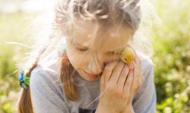 Elternschaftspsychologie: Wie sich die Bindung zwischen Eltern und Kind formt