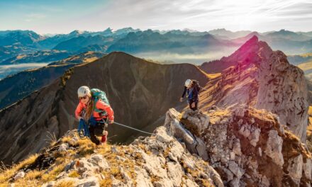 Familienzeit im Grünen: 7 spannende Aktivitäten für Naturbegeisterte