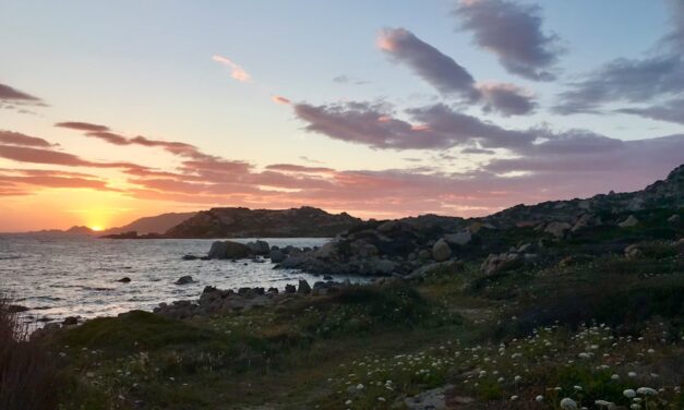 Verantwortungsbewusstsein bei Kindern stärken: 5 Tipps für Eltern