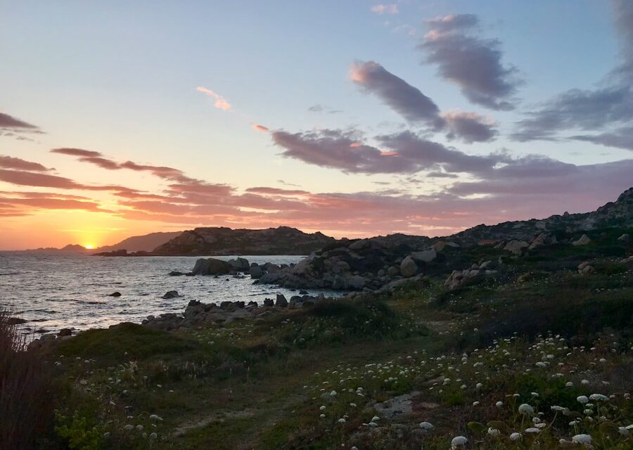 Verantwortungsbewusstsein bei Kindern stärken: 5 Tipps für Eltern