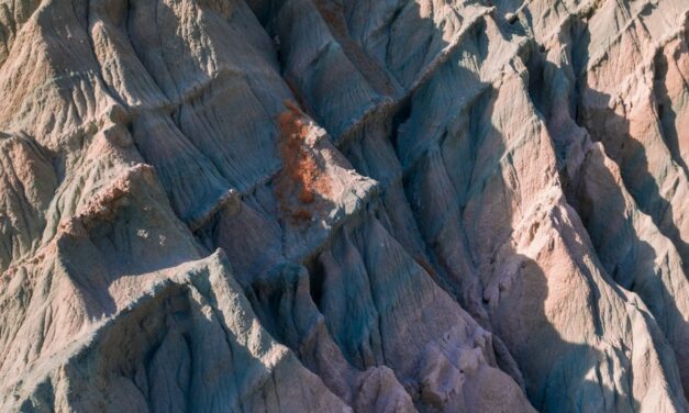 Kinder und Mückenstiche: Die besten natürlichen Abwehrmittel im Überblick