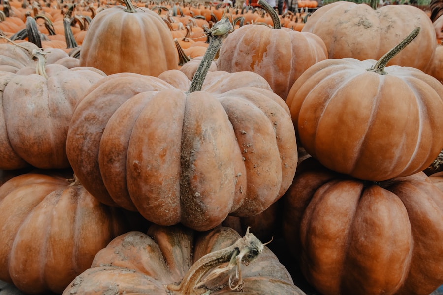 Halloween-Spaß im Freien: 5 Outdoor-Aktivitäten, die die ganze Familie begeistern werden