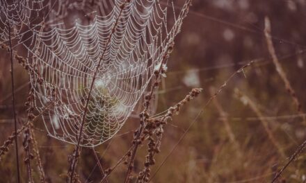 Süßes oder Saures? Die besten Halloween-Bücher, um Kinder in gruselige Stimmung zu bringen