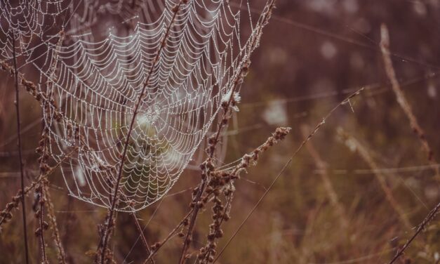Süßes oder Saures? Die besten Halloween-Bücher, um Kinder in gruselige Stimmung zu bringen