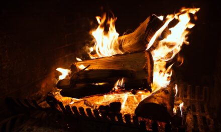 Gemütliche Weihnachtszeit: So verwandelst du dein Wohnzimmer in ein Winterwunderland